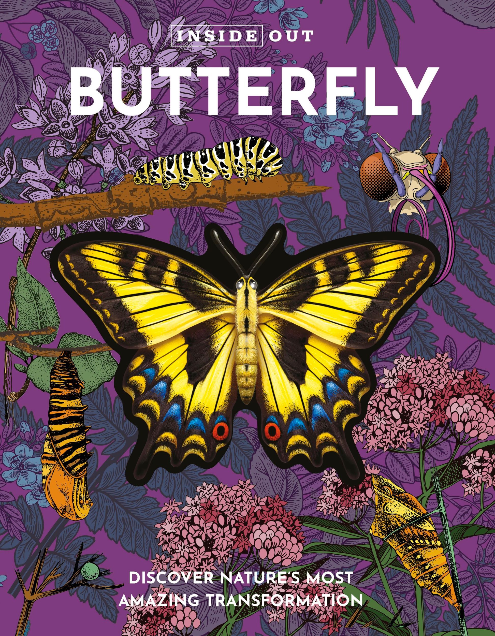 Cover: 9780785844754 | Inside Out Butterfly | Discover Nature's Most Amazing Transformation