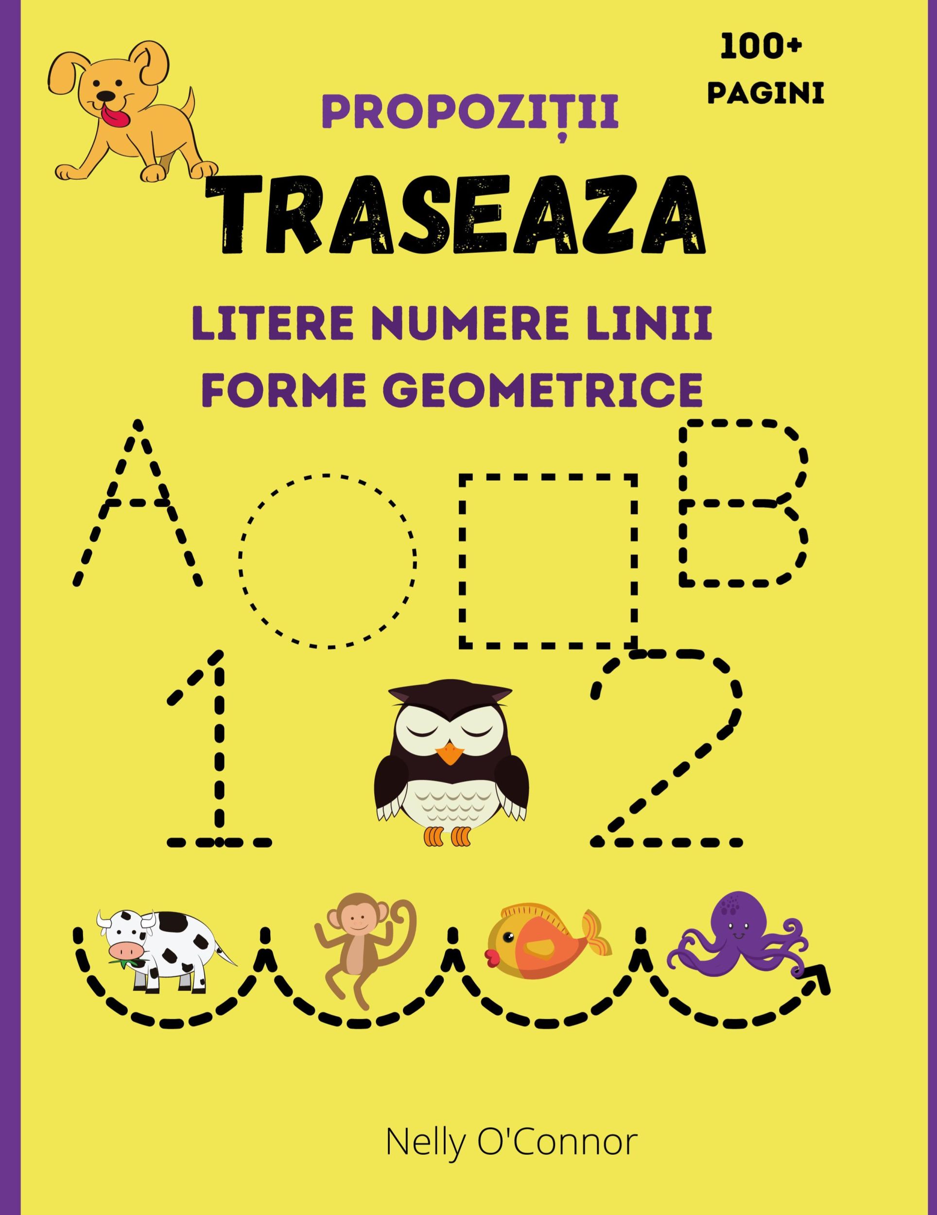 Cover: 9781915092021 | Traseaza Litere Numere Linii Forme Geometrice si Propozitii | Buch