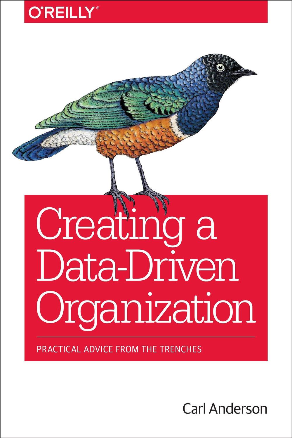 Cover: 9781491916919 | Creating a Data-Driven Organization | Carl Anderson | Taschenbuch