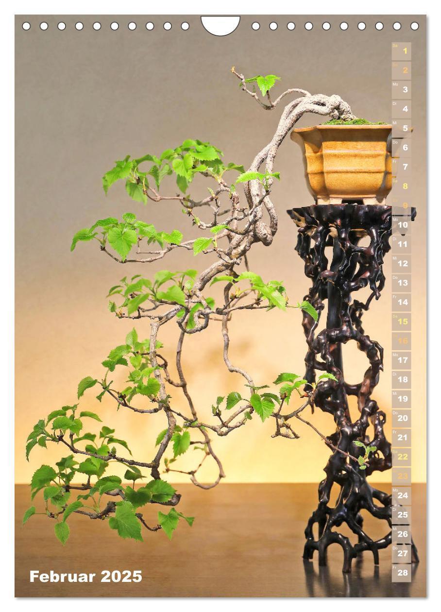 Bild: 9783435848966 | Bonsai: Gartenkunst im Kleinen (Wandkalender 2025 DIN A4 hoch),...