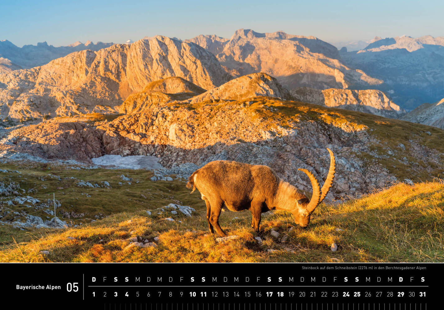 Bild: 9783968555423 | 360° Bayerische Alpen Premiumkalender 2025 | Christian Bäck | Kalender