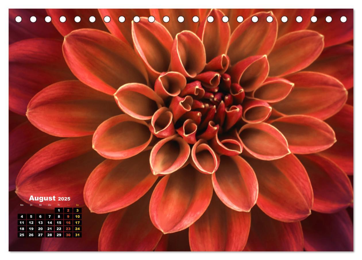 Bild: 9783383761782 | Abstrakte Natur (Tischkalender 2025 DIN A5 quer), CALVENDO...