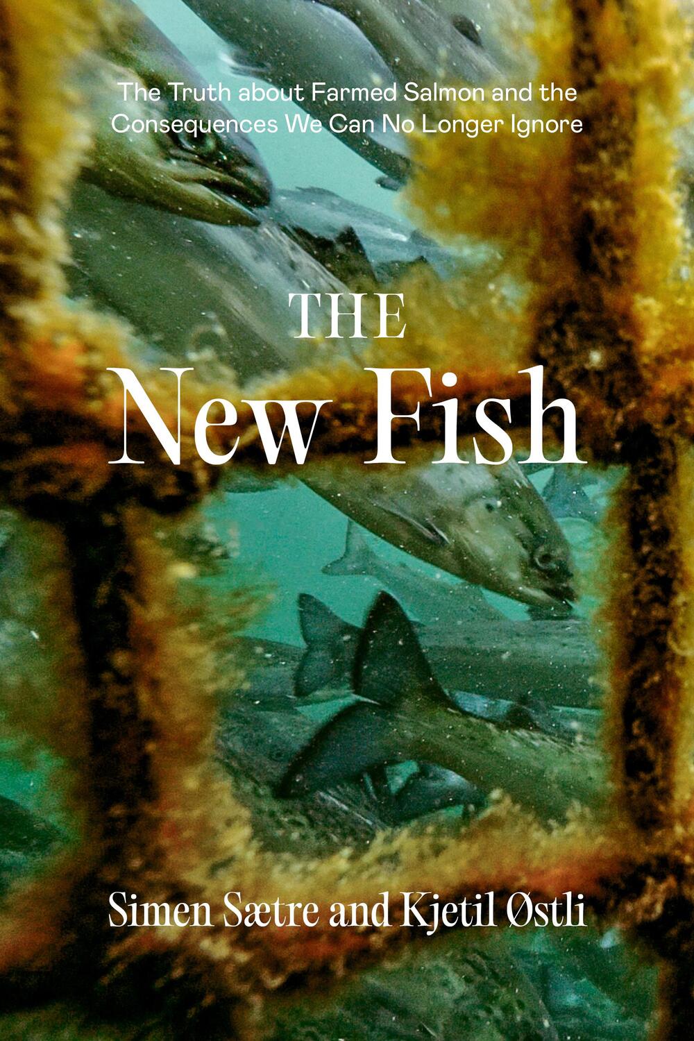 Cover: 9781952338144 | The New Fish | Simen Saetre (u. a.) | Taschenbuch | Englisch | 2023