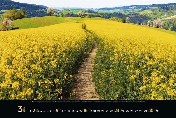 Bild: 9783731875994 | Colourful Seasons 2025 | Verlag Korsch | Kalender | 14 S. | Deutsch