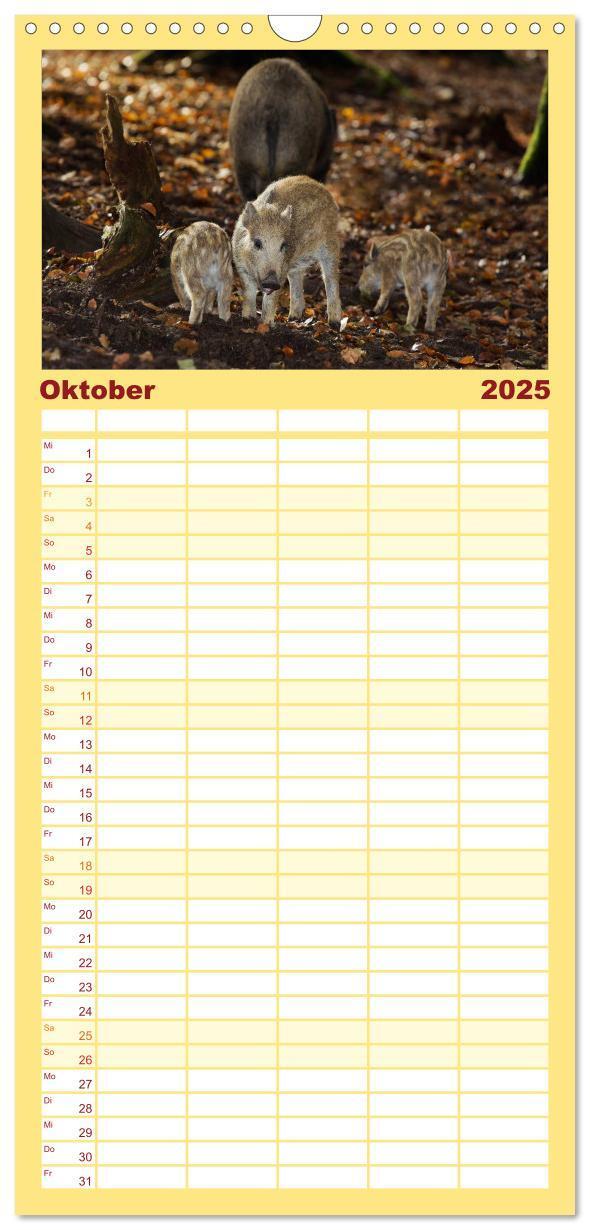 Bild: 9783457115589 | Familienplaner 2025 - Tierbabys 2025 mit 5 Spalten (Wandkalender,...