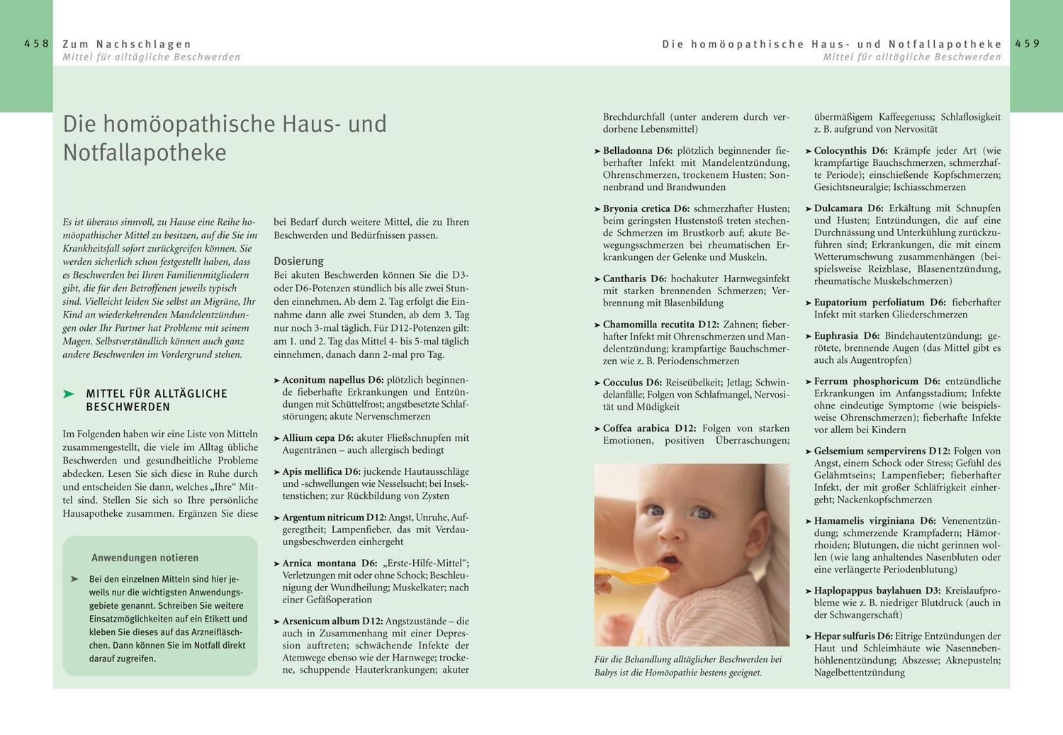 Bild: 9783833800344 | Homöopathie - Das große Handbuch | Markus Wiesenauer | Buch | 496 S.