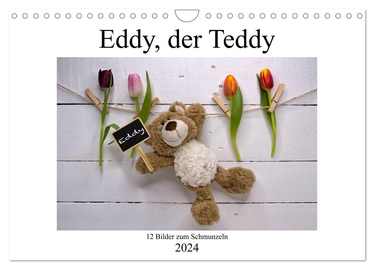 Cover: 9783383024863 | Eddy, der Teddy - 12 Bilder zum Schmunzeln (Wandkalender 2024 DIN...