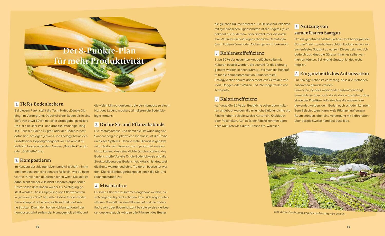 Bild: 9783706629645 | Market Gardening &amp; Agroforst | Leon Schleep | Buch | 192 S. | Deutsch