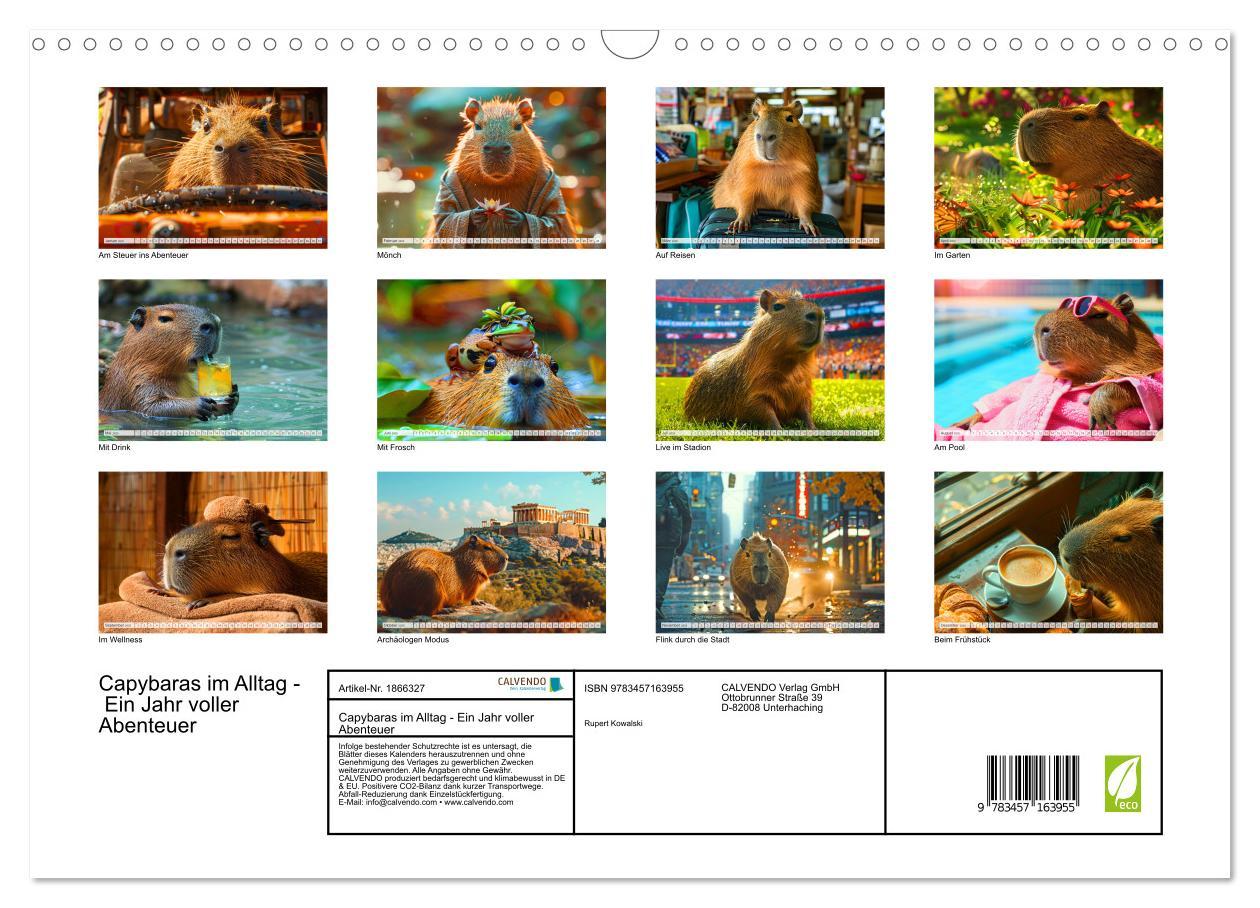 Bild: 9783457163955 | Capybaras im Alltag - Ein Jahr voller Abenteuer (Wandkalender 2025...