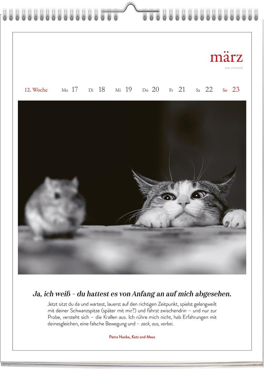 Bild: 9783747205655 | Katzen - Literarisch durchs Jahr 2025 | Wochenkalender | Vivendi Ars