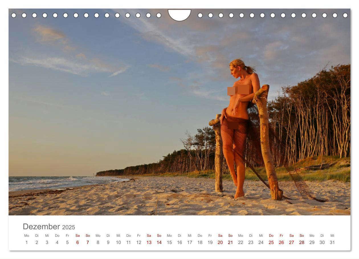 Bild: 9783435438273 | Akt und Meer (Wandkalender 2025 DIN A4 quer), CALVENDO Monatskalender