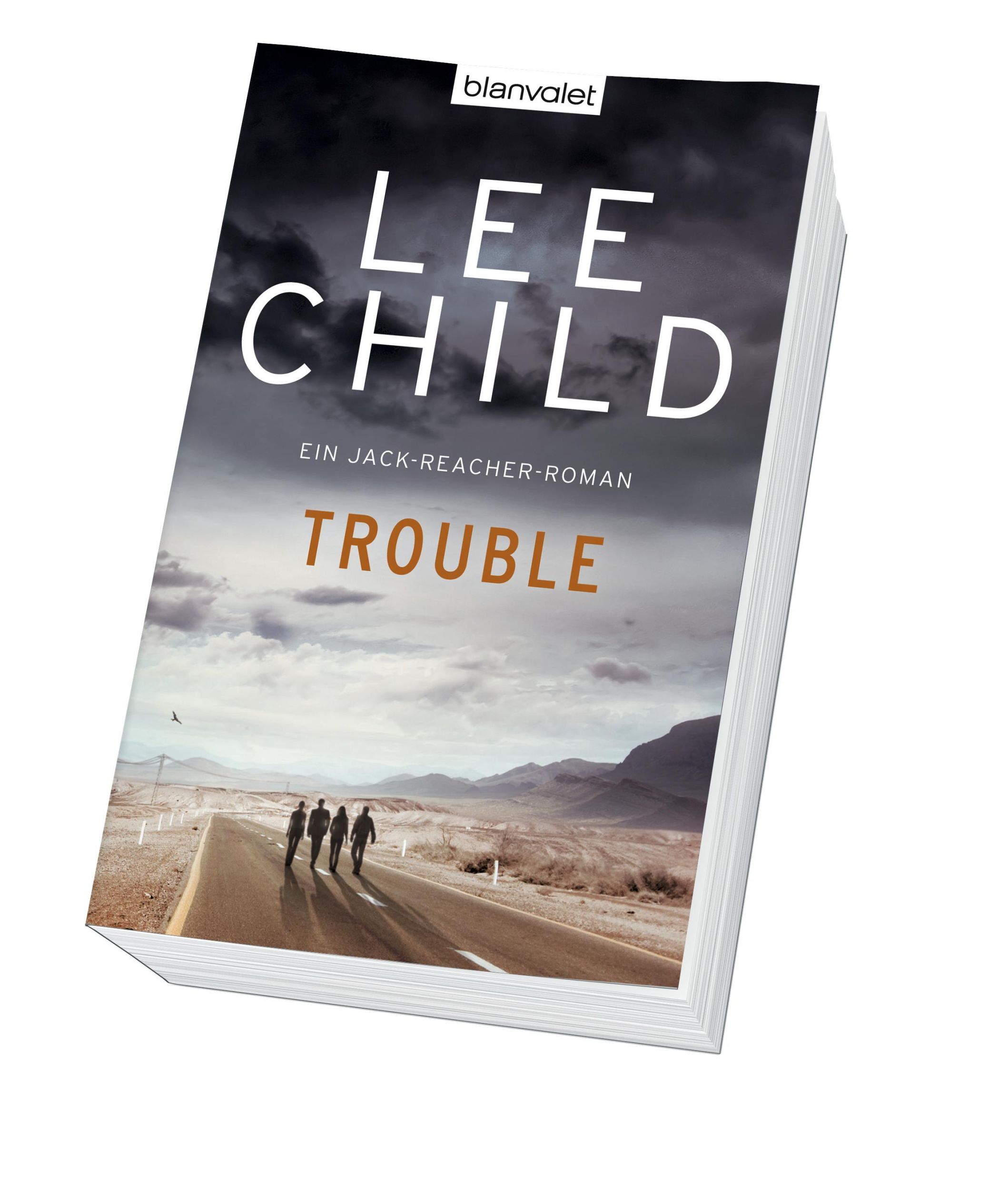 Bild: 9783442371624 | Trouble | Ein Jack-Reacher-Roman | Lee Child | Taschenbuch | 464 S.