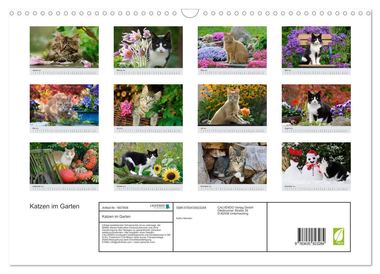 Bild: 9783435823284 | Katzen im Garten (Wandkalender 2025 DIN A3 quer), CALVENDO...