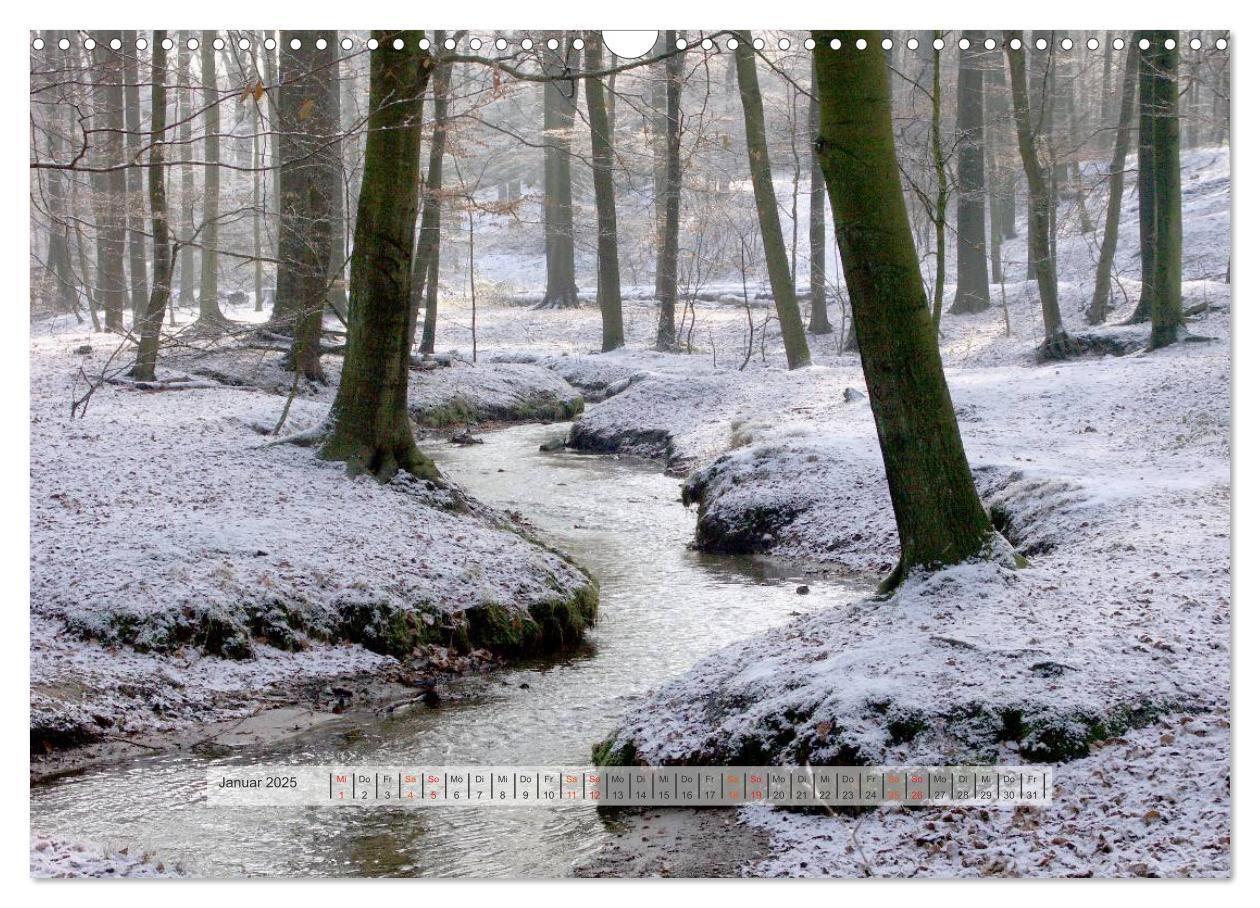 Bild: 9783435460014 | Wald im Bergischen Land 2025 (Wandkalender 2025 DIN A3 quer),...