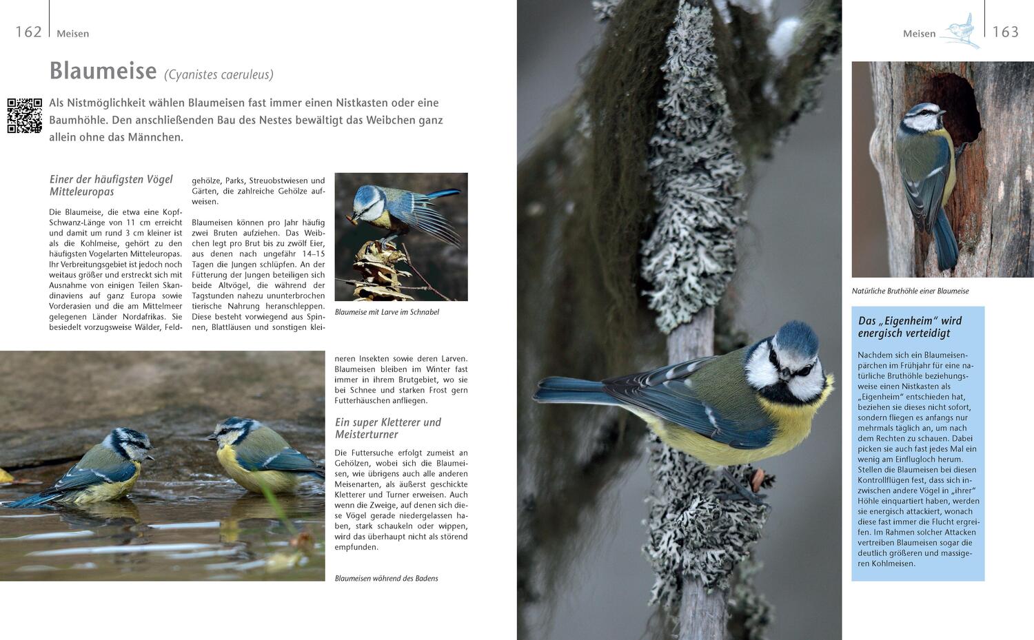 Bild: 9783625192411 | Vögel zu Gast im Garten - Beobachten, bestimmen, schützen. | Gutjahr