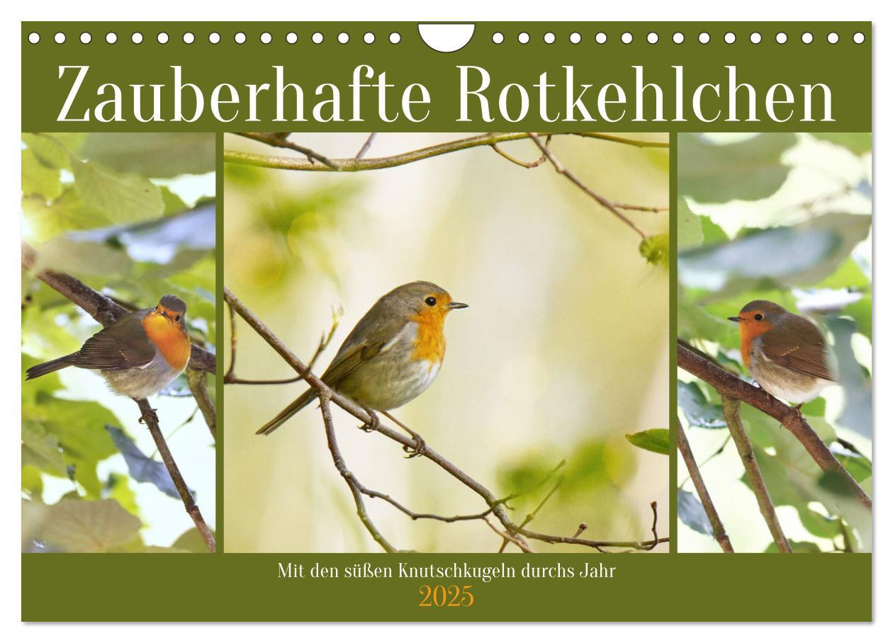 Cover: 9783383915178 | Zauberhafte Rotkehlchen (Wandkalender 2025 DIN A4 quer), CALVENDO...