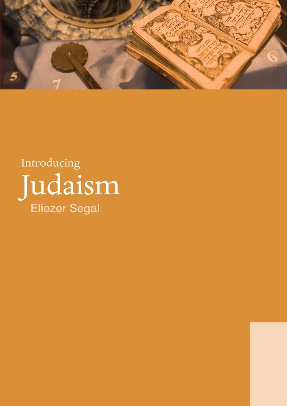 Cover: 9780415440097 | Introducing Judaism | Eliezer Segal | Taschenbuch | Englisch | 2008