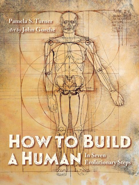 Cover: 9781623542504 | How to Build a Human | John Gurche (u. a.) | Buch | Englisch | 2022