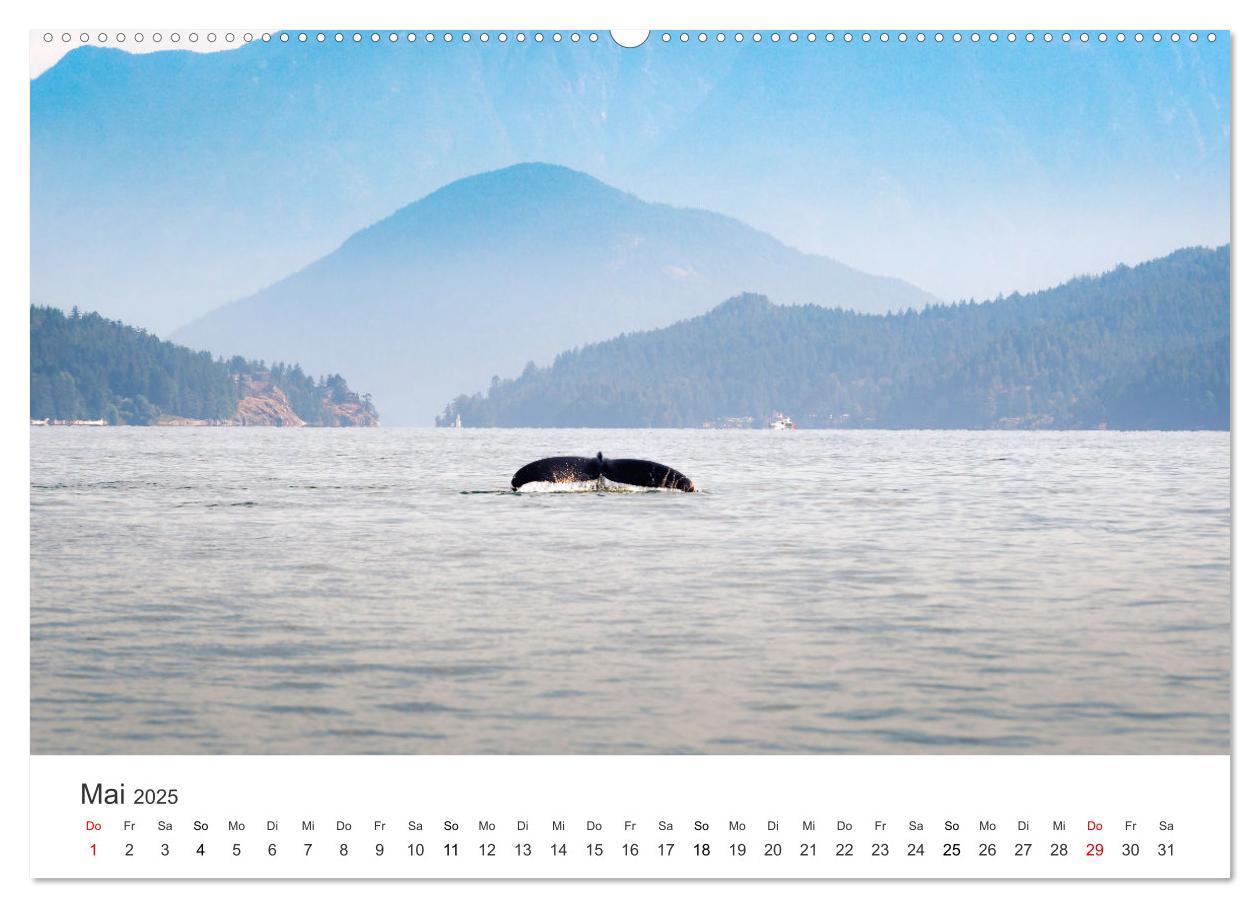 Bild: 9783435071647 | Kanadas Wunder (Wandkalender 2025 DIN A2 quer), CALVENDO...