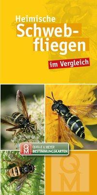Cover: 9783494017754 | Heimische Schwebfliegen | im Vergleich | Quelle & Meyer Verlag | Stück