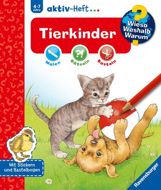 Cover: 9783473326938 | Wieso? Weshalb? Warum? aktiv-Heft: Tierkinder | Stefan Richter | Buch