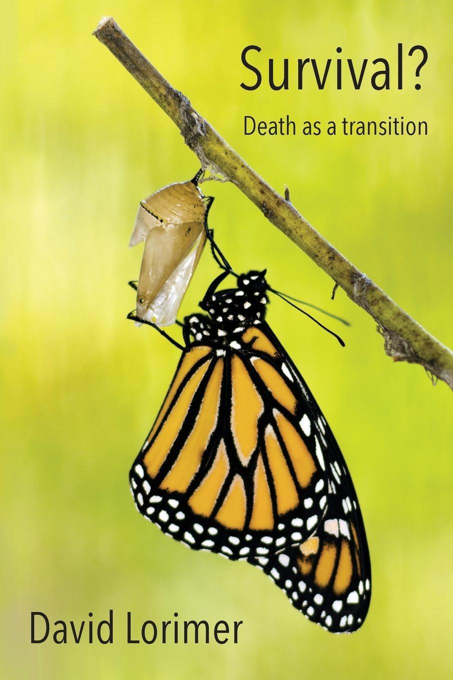 Cover: 9781786770356 | Survival? Death as a Transition | David Lorimer | Taschenbuch | 2017
