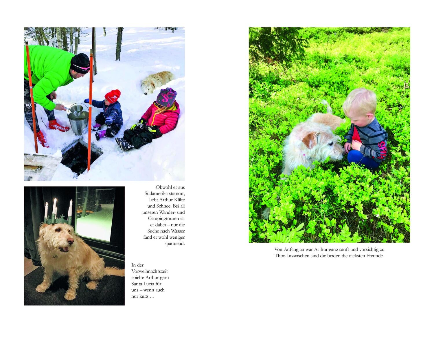 Bild: 9783841906038 | Arthur und seine Freunde | Mikael Lindnord | Taschenbuch | 224 S.