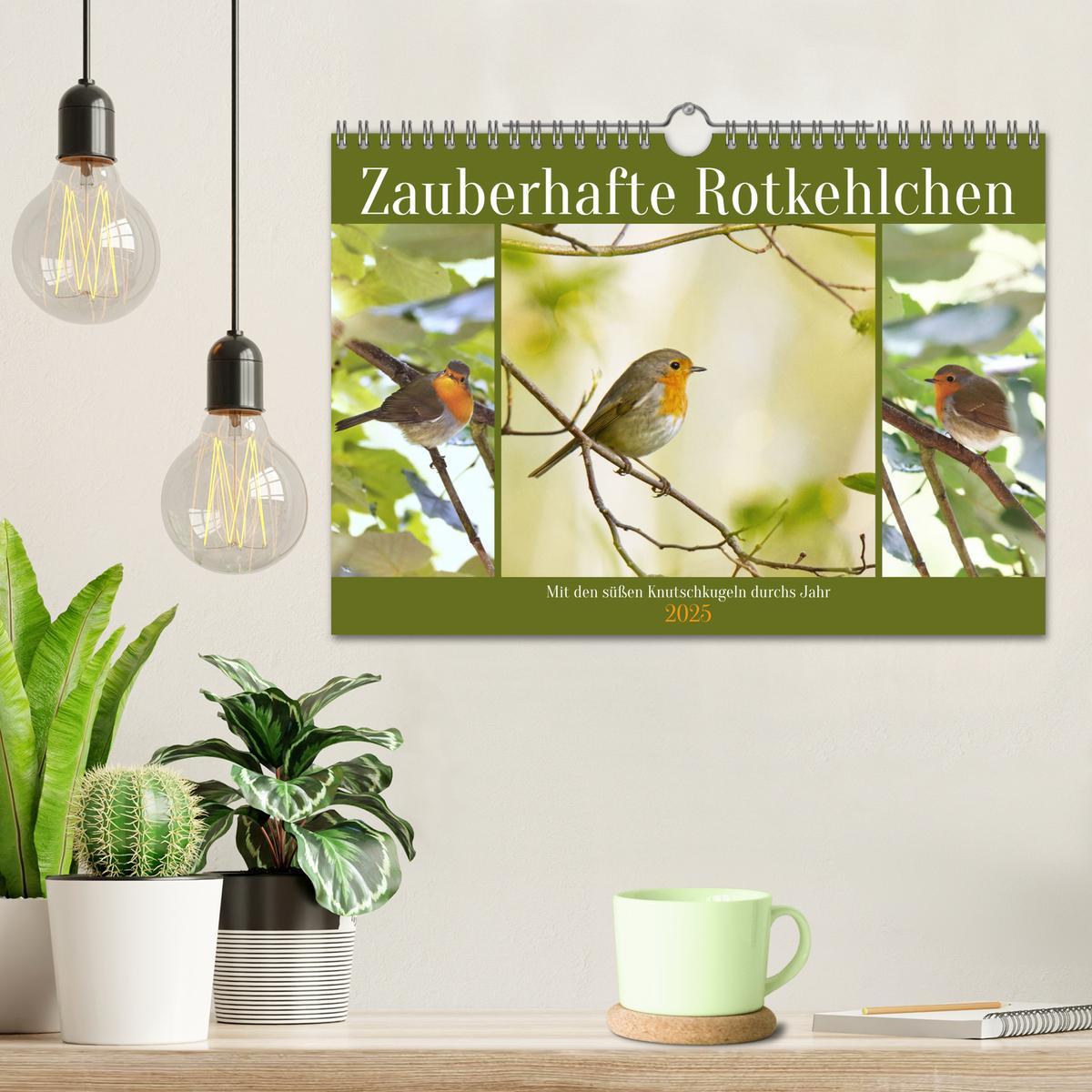 Bild: 9783383915178 | Zauberhafte Rotkehlchen (Wandkalender 2025 DIN A4 quer), CALVENDO...