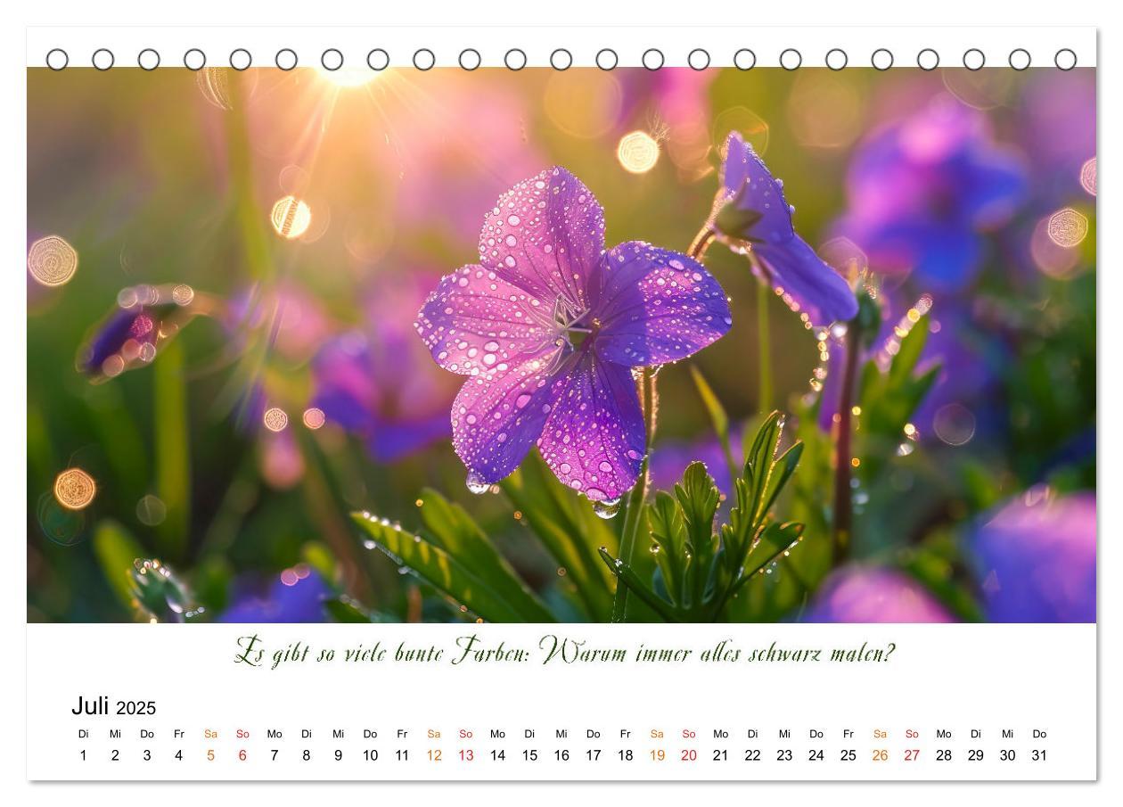 Bild: 9783383814624 | Freu Dich Motivations-Kalender (Tischkalender 2025 DIN A5 quer),...