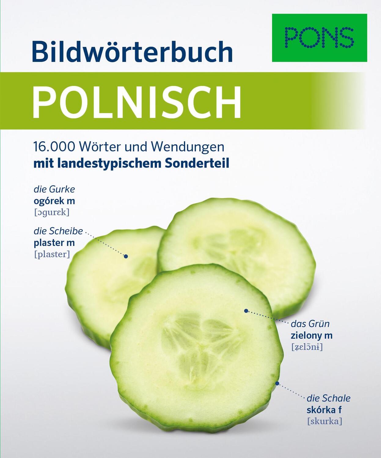 Cover: 9783125162433 | PONS Bildwörterbuch Polnisch | Taschenbuch | PONS Bildwörterbuch