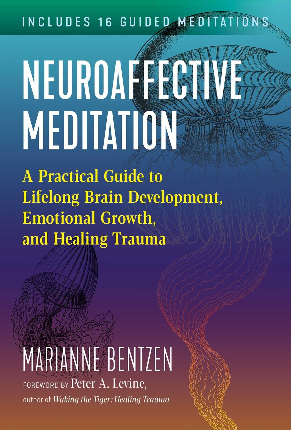 Cover: 9781644113523 | Neuroaffective Meditation | Marianne Bentzen | Taschenbuch | Englisch