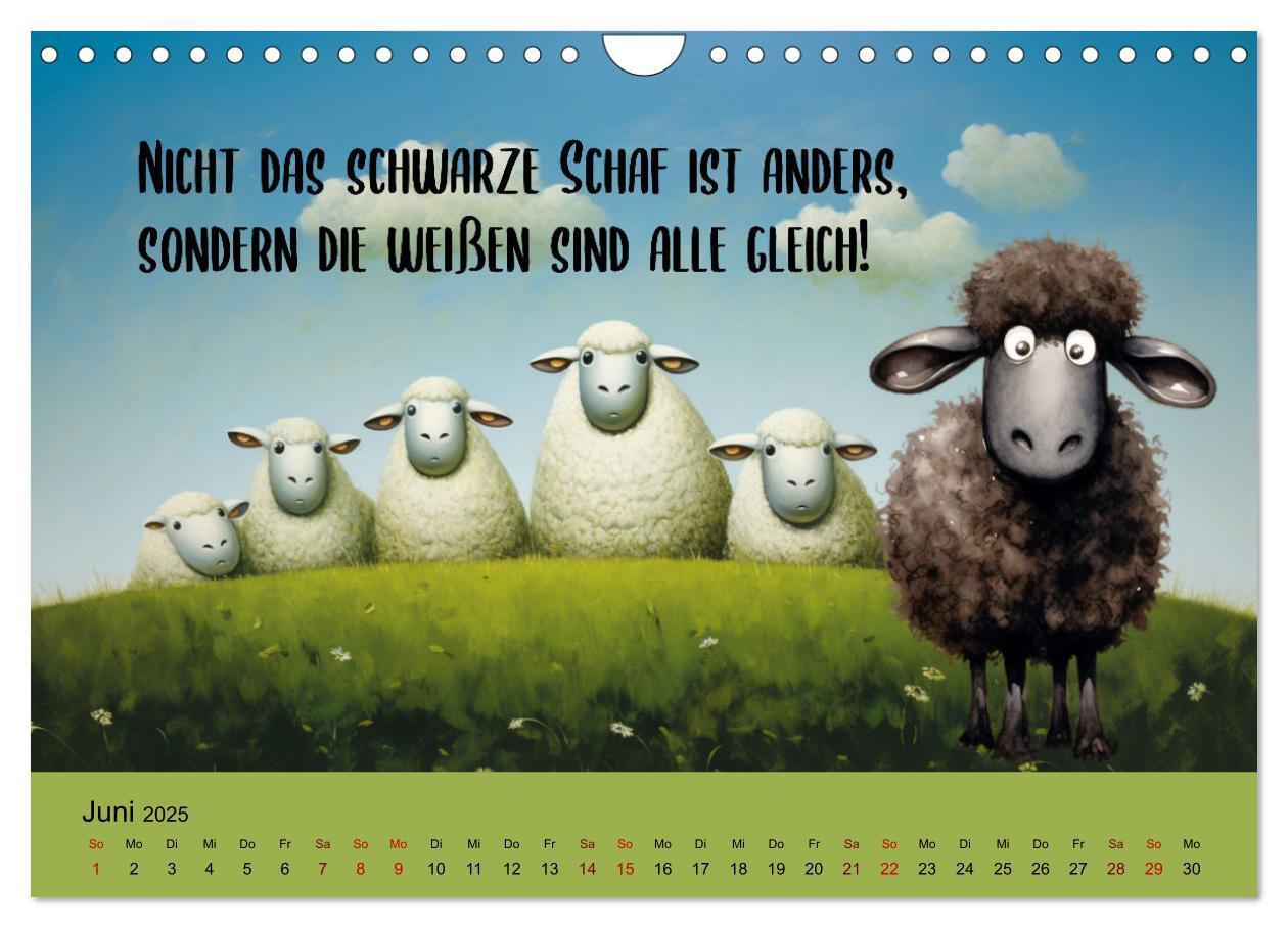 Bild: 9783383825620 | Schafsprüche (Wandkalender 2025 DIN A4 quer), CALVENDO Monatskalender