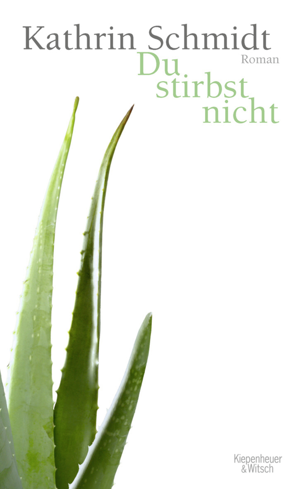 Cover: 9783462040982 | Du stirbst nicht | Kathrin Schmidt | Buch | 2009 | EAN 9783462040982