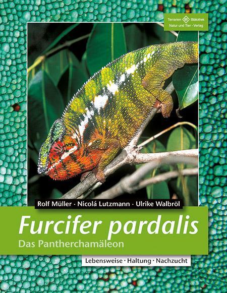 Cover: 9783931587925 | Furcifer pardalis. Das Panterchamäleon | Rolf Müller (u. a.) | Buch