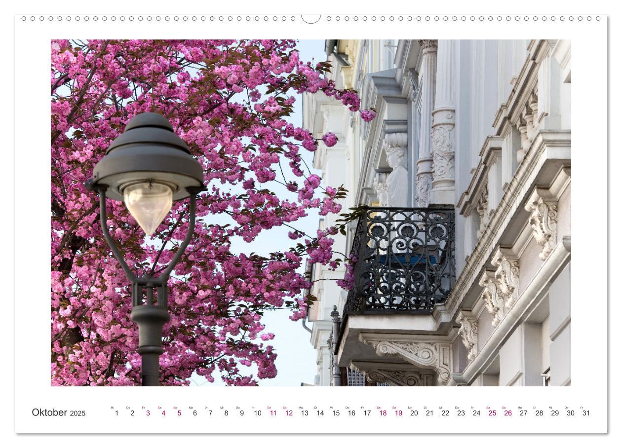 Bild: 9783457127919 | Japanische Kirschblüte in Bonn (Wandkalender 2025 DIN A2 quer),...