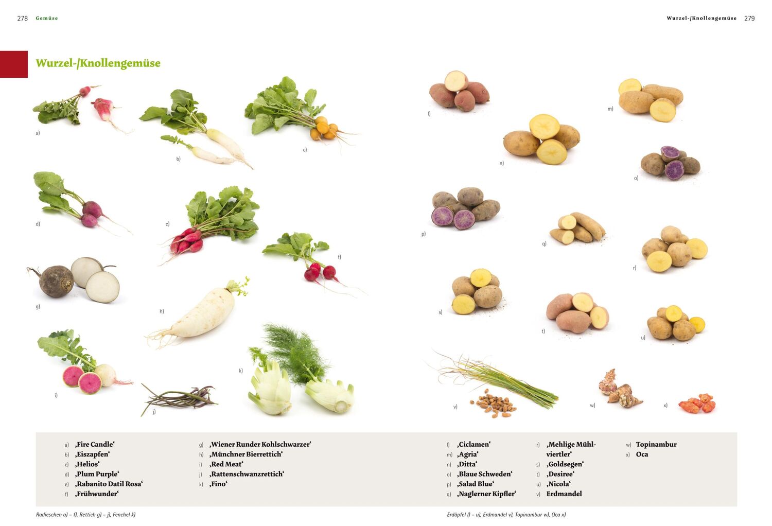 Bild: 9783706625166 | Das große Biogarten-Buch | Andrea Heistinger | Buch | 624 S. | Deutsch