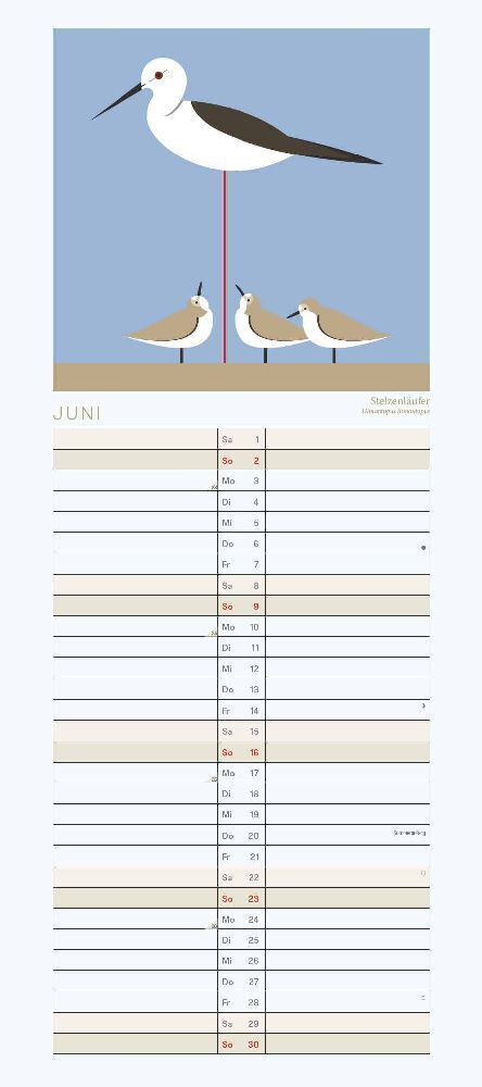 Bild: 4250809652016 | Planer 2024 I like Birds | DuMont Kalenderverlag | Kalender | 30 S.