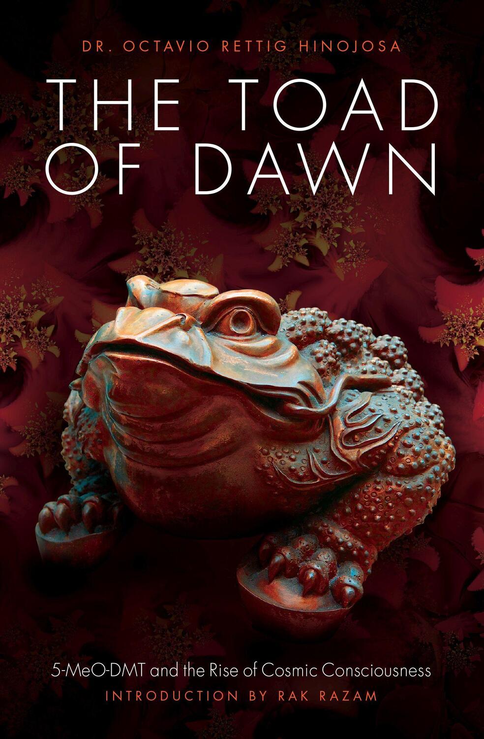Cover: 9781611250466 | The Toad of Dawn: 5-Meo-Dmt and the Rising of Cosmic Consciousness