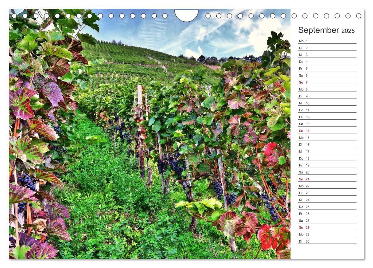 Bild: 9783435549252 | Bildschön - Die Mosel (Wandkalender 2025 DIN A4 quer), CALVENDO...