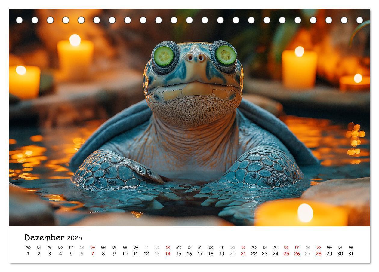 Bild: 9783457215890 | CHILL MAL - Entspannte Schildkröten beim Faulenzen (Tischkalender...