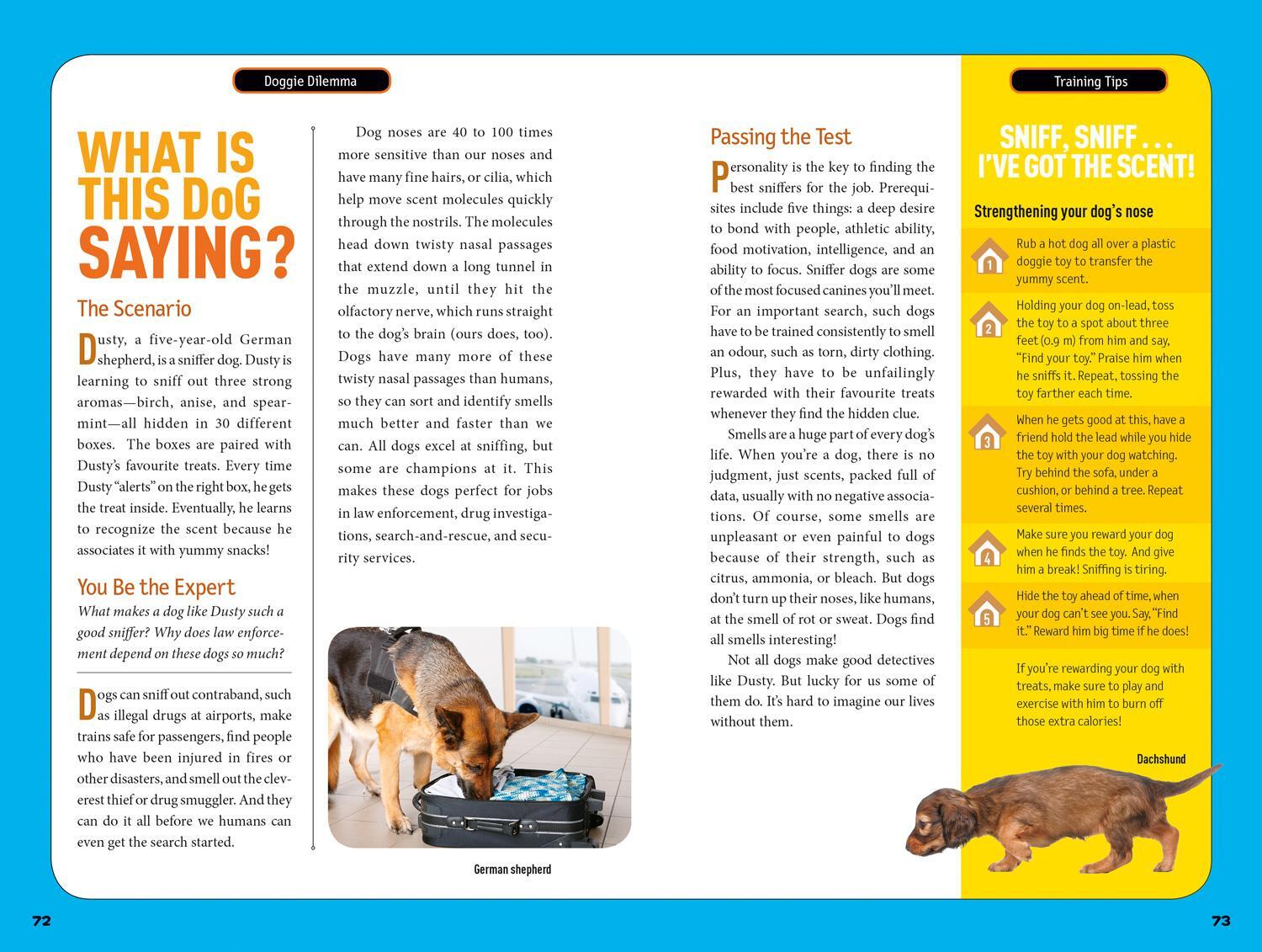 Bild: 9780008257910 | How To Speak Dog | A Guide to Decoding Dog Language | Kids | Buch