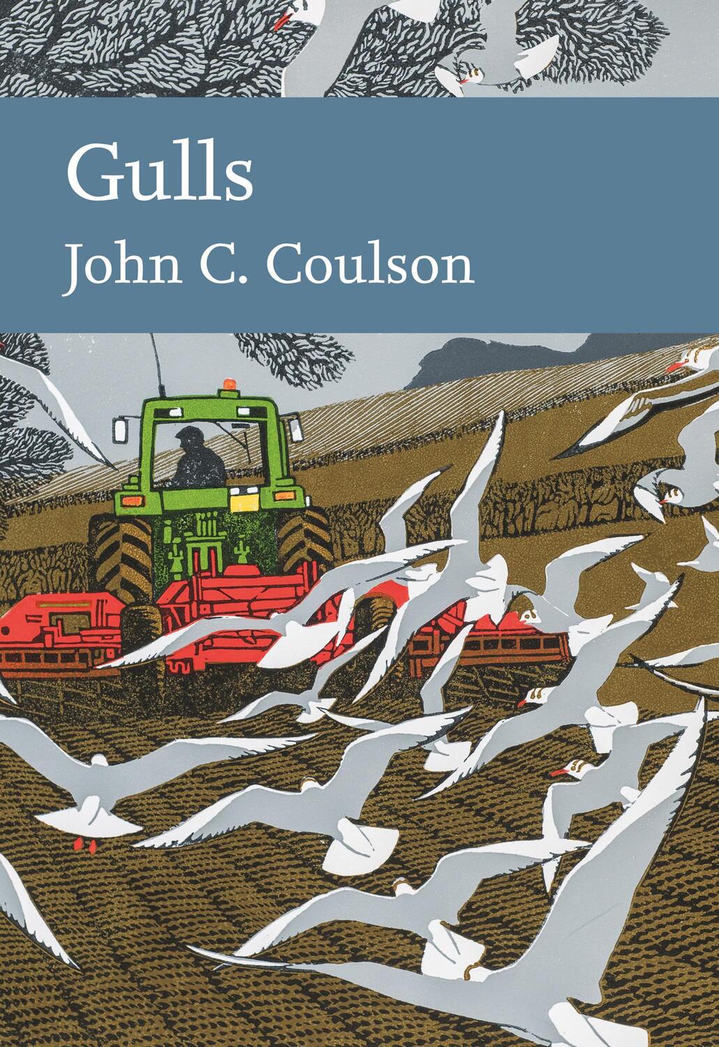 Cover: 9780008201425 | Gulls | Professor John C. Coulson | Buch | Gebunden | Englisch | 2019
