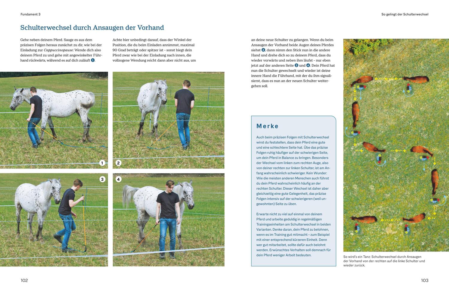 Bild: 9783967471014 | Das Roundpen-Praxisbuch - Freiheitsarbeit mit Pferden | Uwe Weinzierl