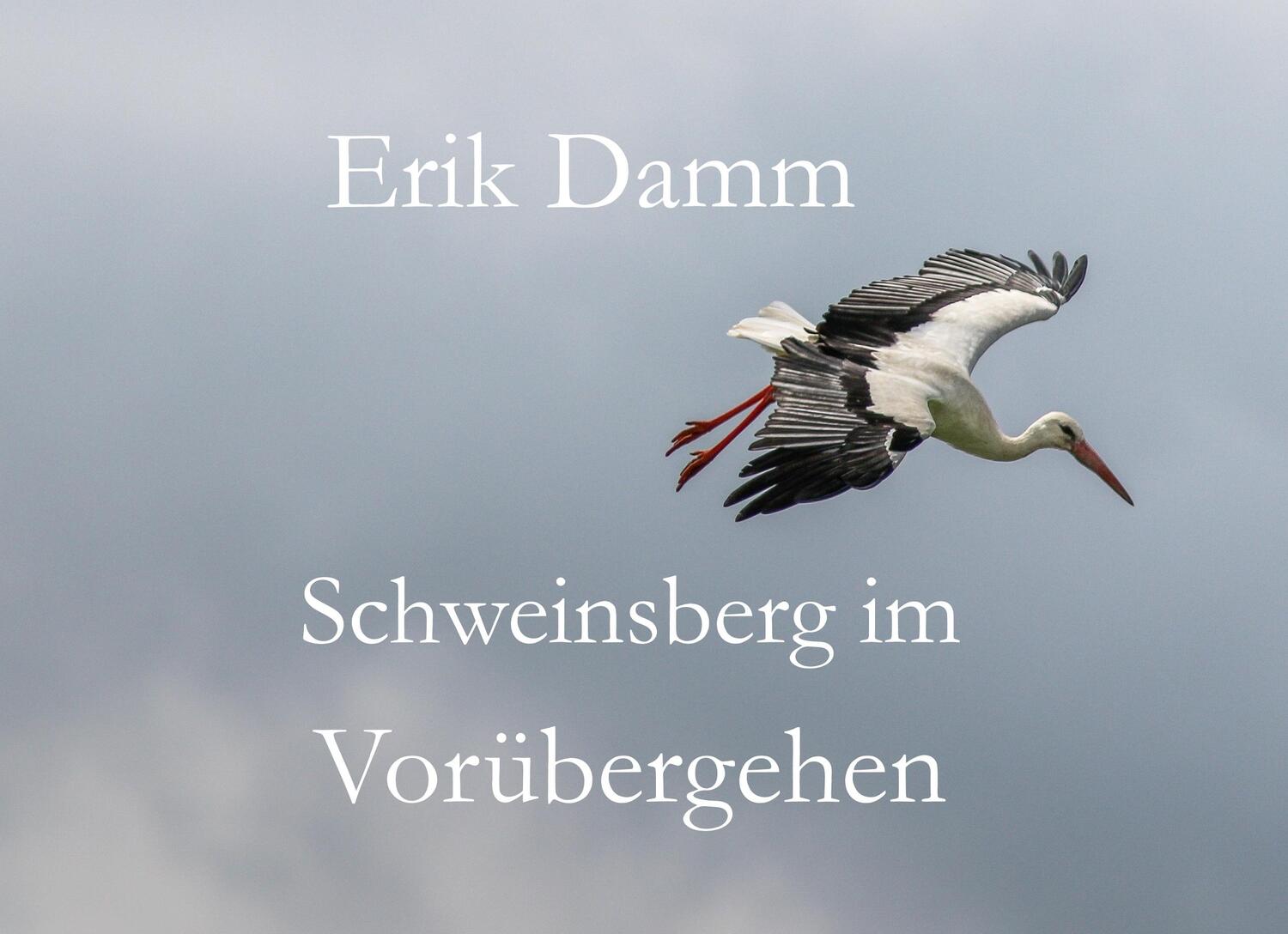 Cover: 9783748151890 | Schweinsberg im Vorübergehen | Erik Damm | Buch | Books on Demand