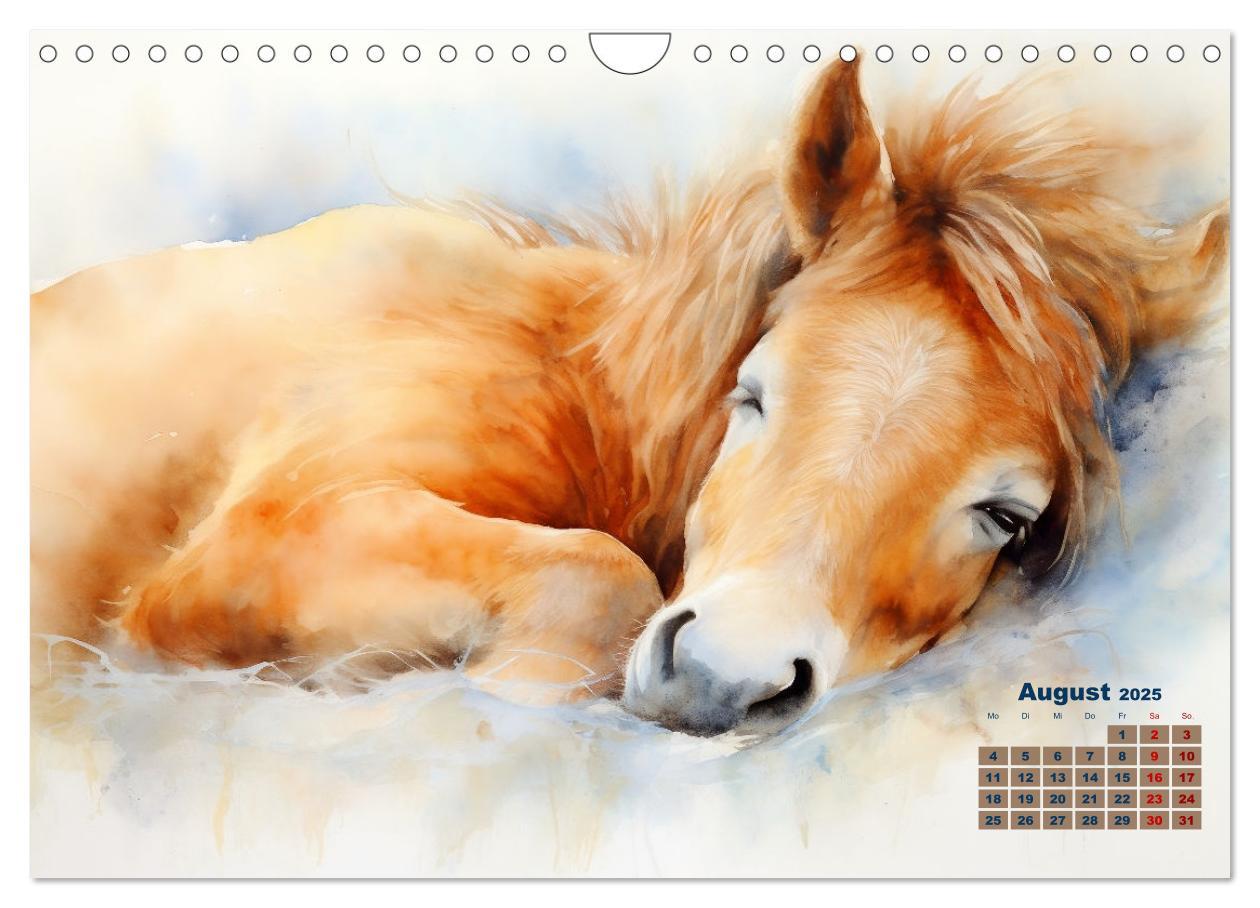 Bild: 9783435011780 | Kraftpakete in Aquarell (Wandkalender 2025 DIN A4 quer), CALVENDO...