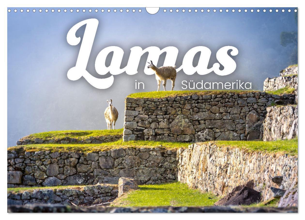 Cover: 9783383605819 | Lamas in Südamerika (Wandkalender 2024 DIN A3 quer), CALVENDO...