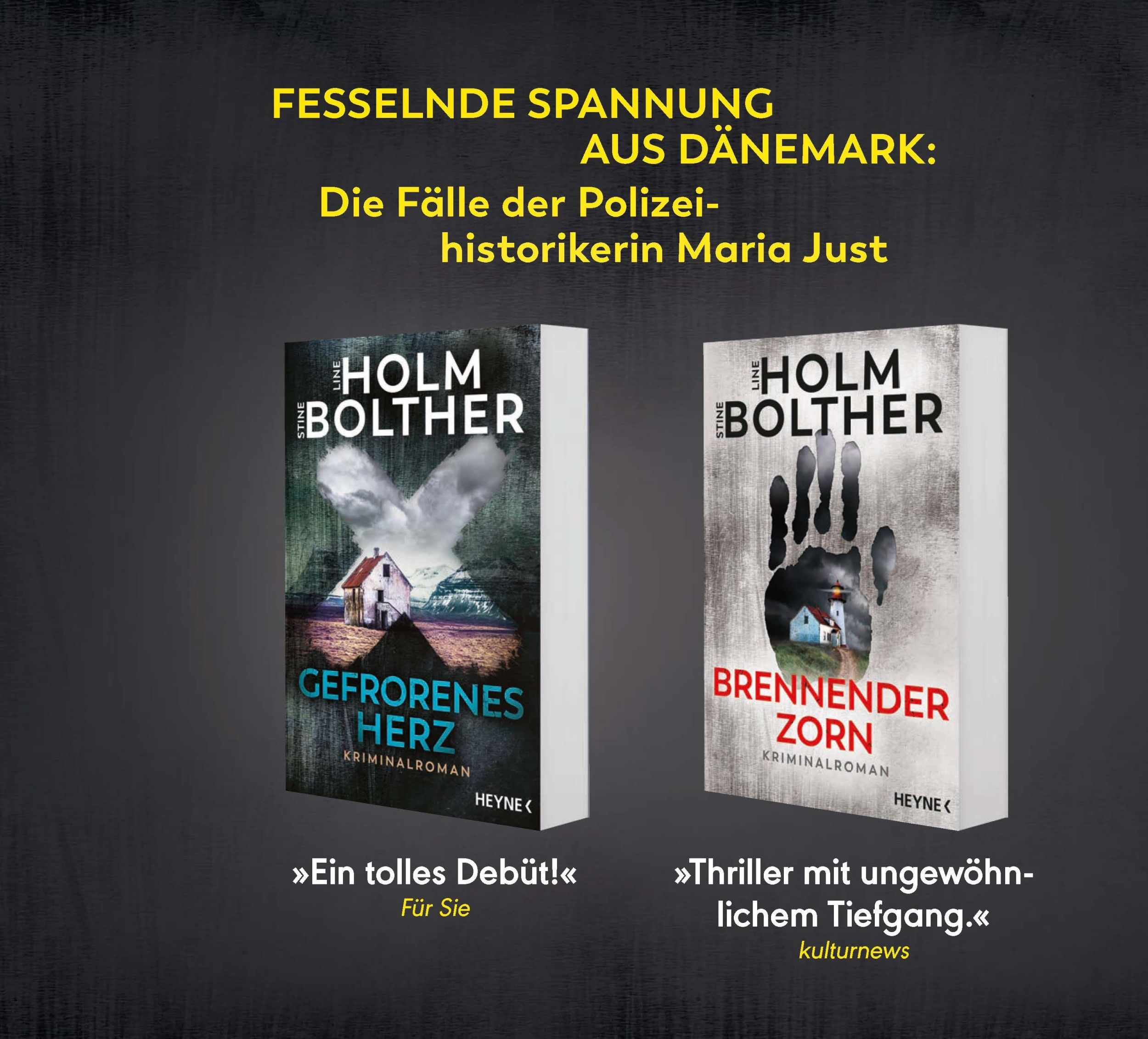 Bild: 9783453429635 | Eiskalte Schuld | Kriminalroman | Line Holm (u. a.) | Taschenbuch