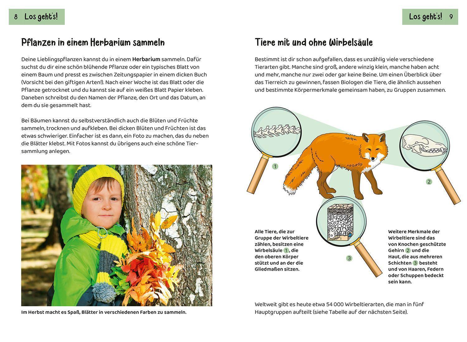 Bild: 9783440172438 | Tier- und Pflanzenführer. Kindernaturführer | Anita van Saan (u. a.)