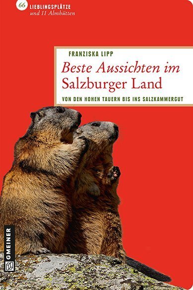Cover: 9783839215531 | Beste Aussichten im Salzburger Land | Franziska Lipp | Taschenbuch
