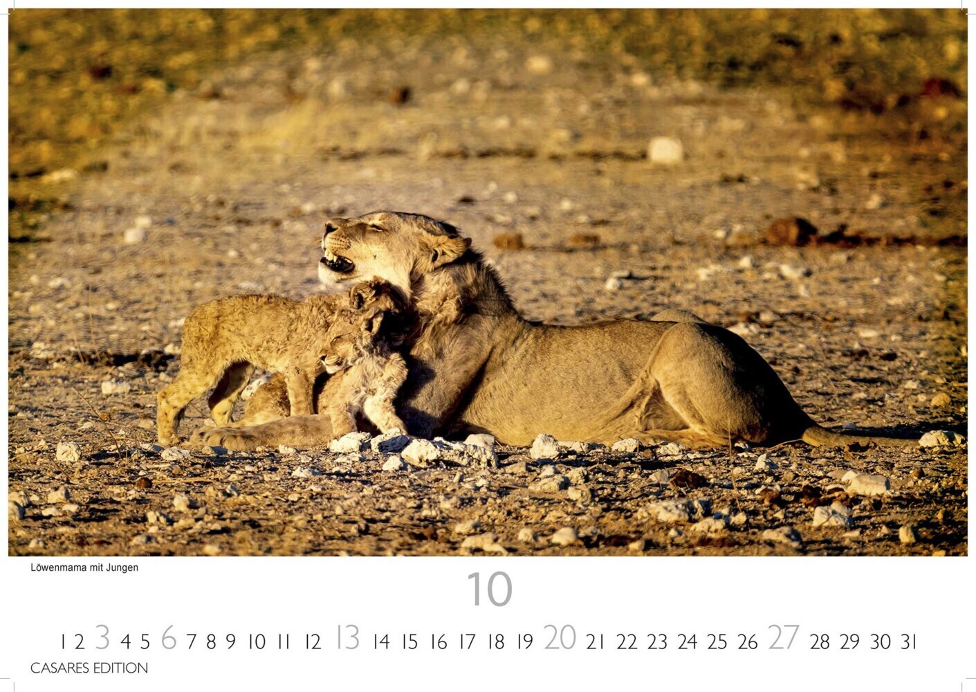 Bild: 9789918618187 | Namibia 2024 S 24x35cm | Kalender | 14 S. | Deutsch | 2024